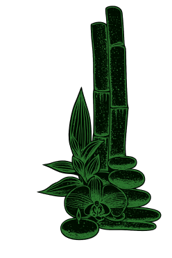 http://anoraspa.vn/wp-content/uploads/2026/05/8710a752-8e41-4214-8c3b-bd8fa934ccb3.png